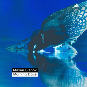 英国美女裸体同性自慰
